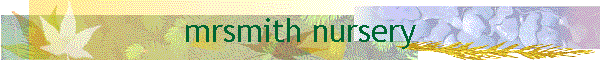 mrsmith nursery